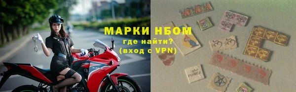 Альфа ПВП Новозыбков