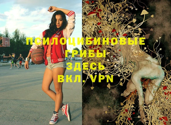 первитин Новокубанск