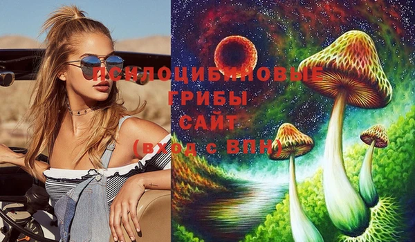 молекула духа Новодвинск