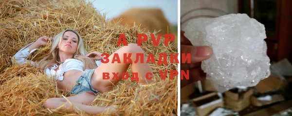 молекула духа Новодвинск
