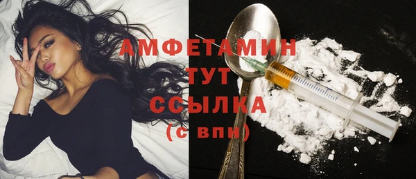молекула духа Новодвинск